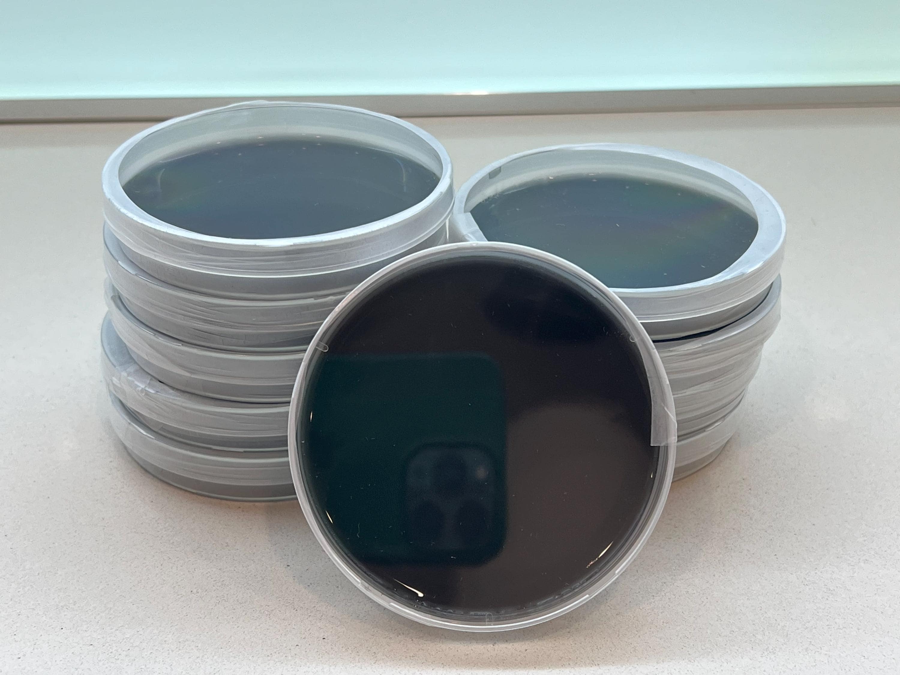 Piastre Agar Carbone Attivo DME 90mm | 10 Petri Sterili + Parafilm