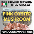Pre-Inoculata Pink Oyster All-In-One Grow Bag 2KG+ | Micelio Attivo Visibile | Substrato Bio | Zero Contaminazioni