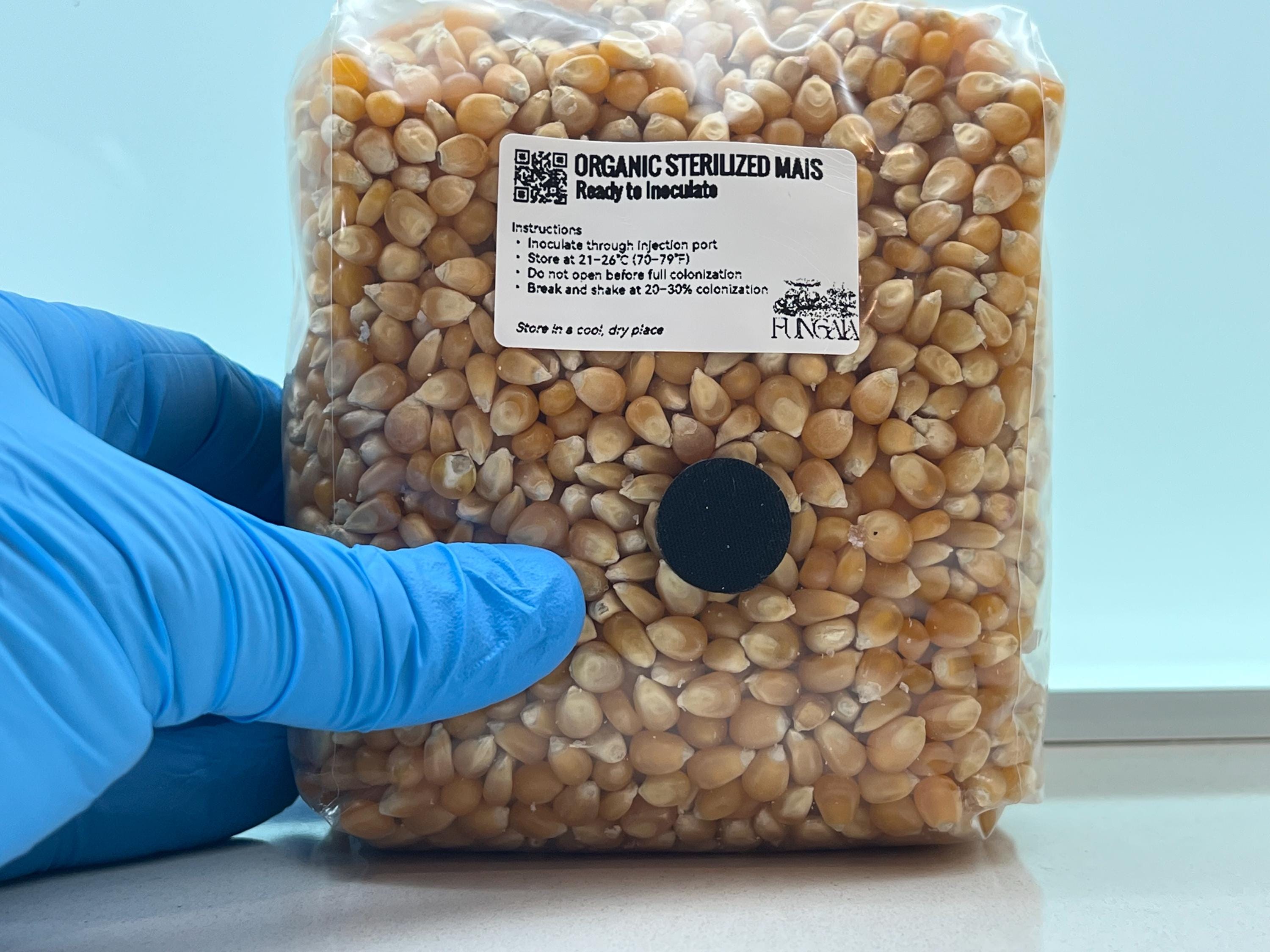 Spawn Mais Bio  1kg/2kg  Sterilizzato • Porta SHIP