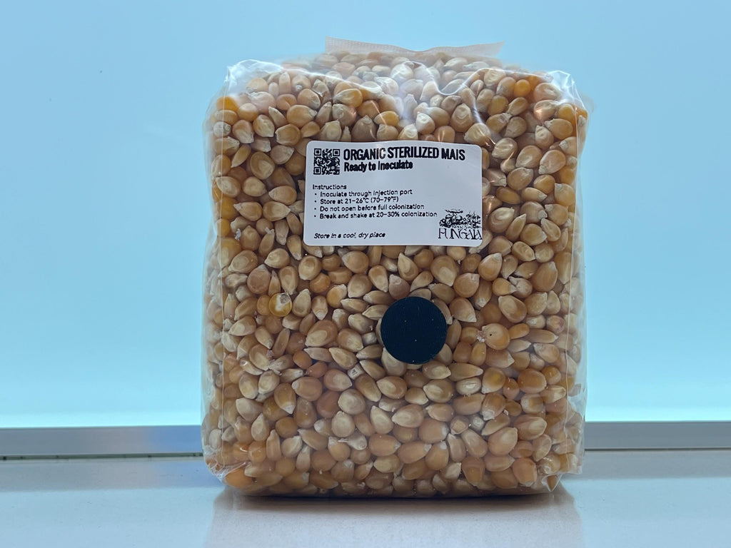 Spawn Mais Bio  1kg/2kg  Sterilizzato • Porta SHIP