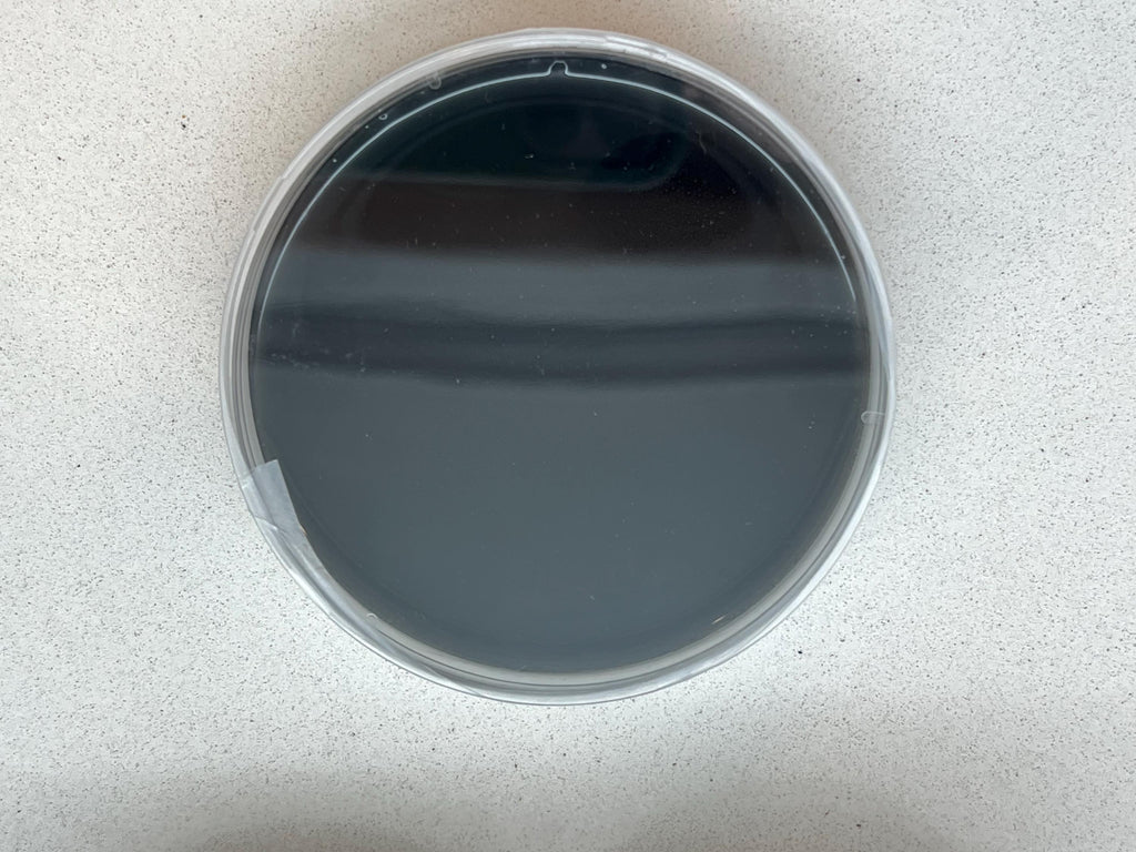 Piastre Agar Carbone Attivo DME 90mm | 10 Petri Sterili + Parafilm