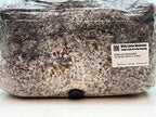 2KG White Oyster Mushroom Grow Bag Pre-Inoculated | Live Mycelium Visible | Organic Sterile