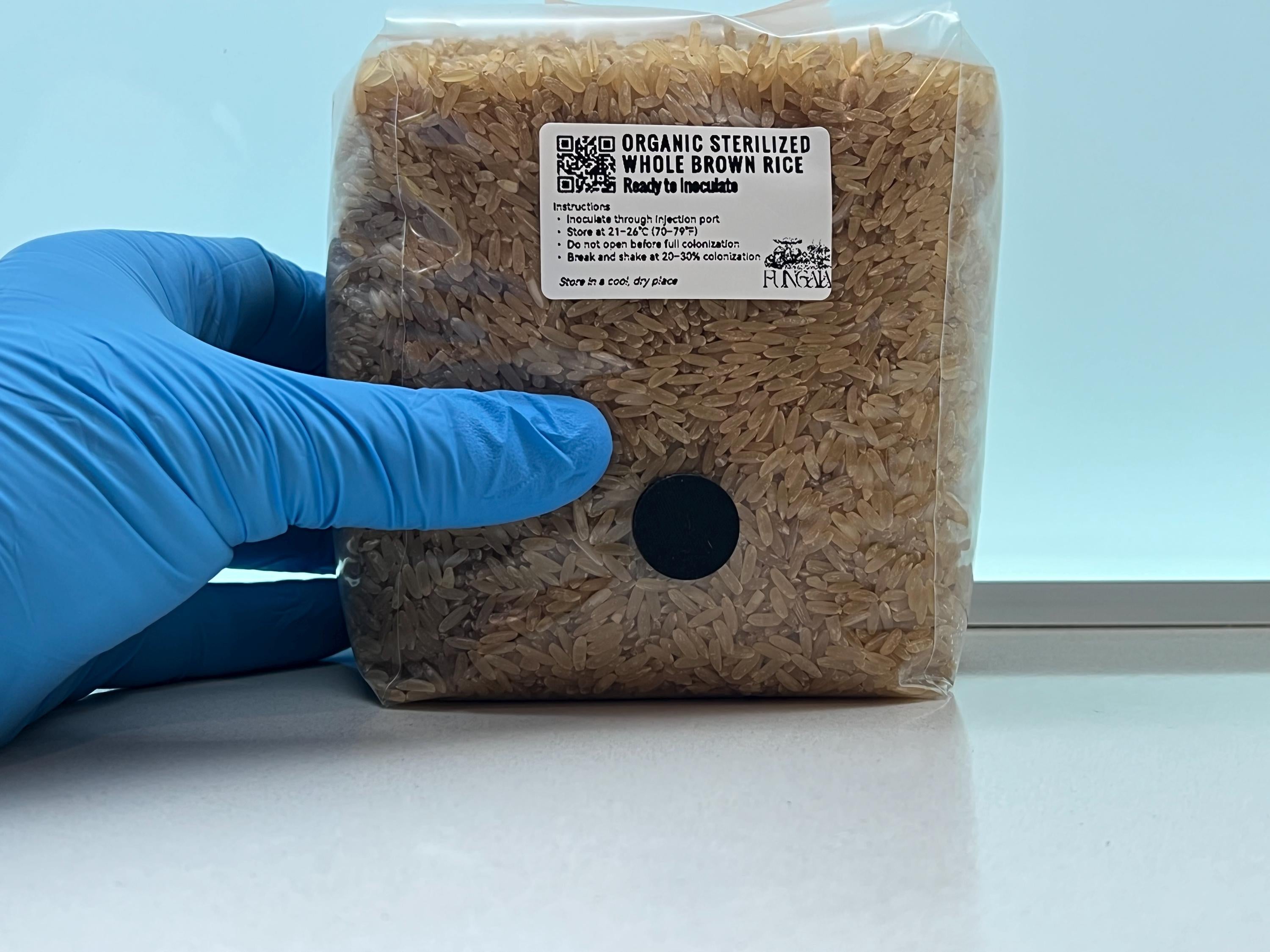 Organic Brown Rice 1kg/2kg Grain Spawn Autoclave • SHIP Port • Mushroom Substrate Oyster Shiitake Reishi