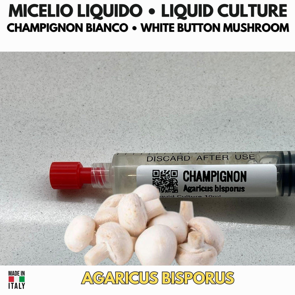 Coltura Liquida Champignon 10ml Agaricus Bisporus Fungo Prataiolo