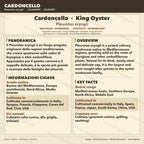 Coltura Liquida Cardoncello King Trumpet 10ml - Micelio Funghi