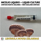 Shiitake Nuova Zelanda Coltura Liquida Micelio Vivo 10ml