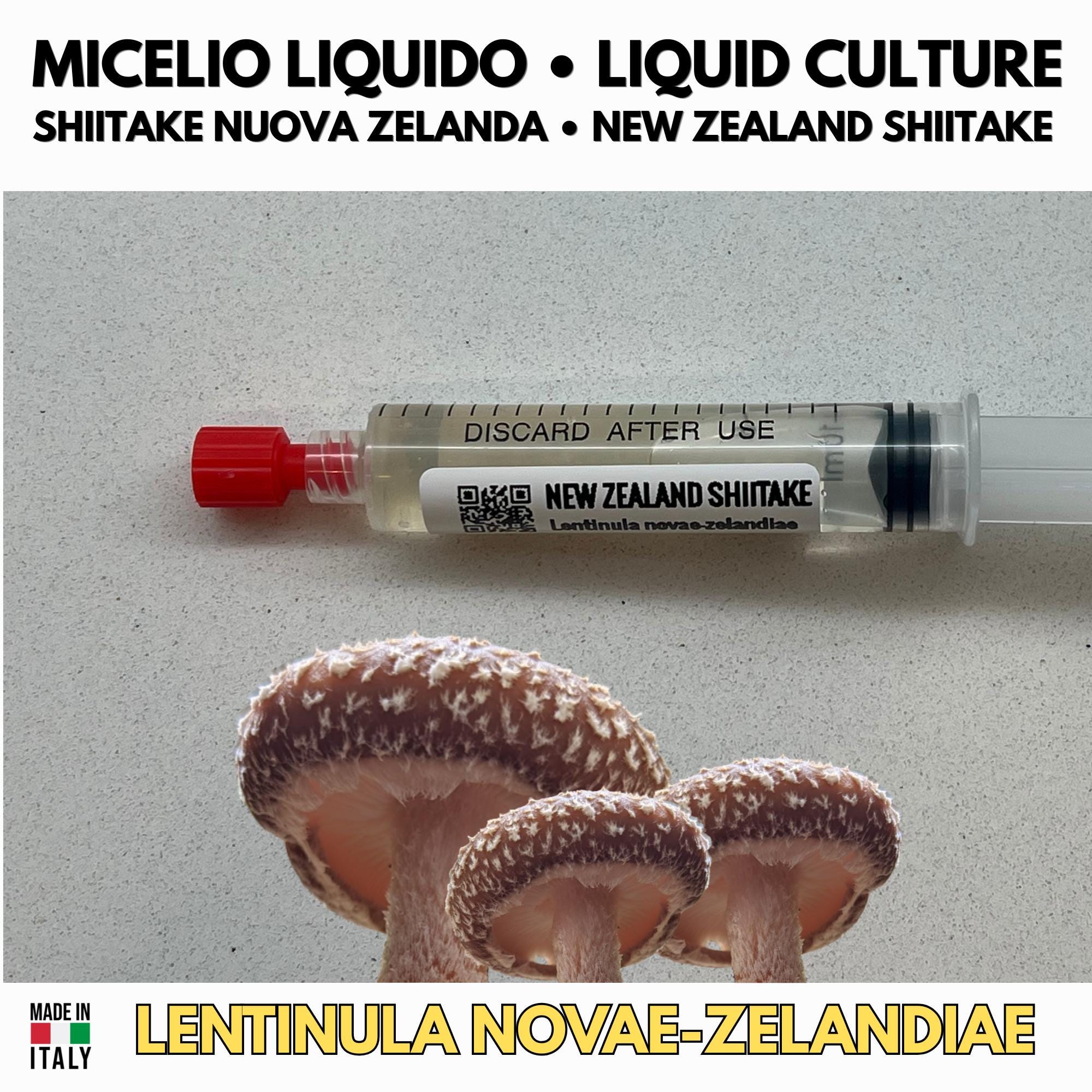 New Zealand Shiitake Liquid Culture Lentinula Novaezelandiae Live Mycelium Syringe 10ml Exotic Shiitake Mushroom Culture Lab Grade
