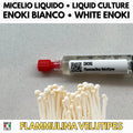 Enoki Liquid Culture Unit (10ml) - Flammulina velutipes - Premium Gourmet Mushroom Mycelium - Made in Italy