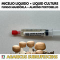 Almond Mushroom Liquid Culture Agaricus Subrufescens Live Mycelium Syringe 10ml Royal Sun Agaricus Lab Grade Mycology Supplies Made in Italy