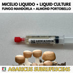 Almond Mushroom Liquid Culture Agaricus Subrufescens Live Mycelium Syringe 10ml Royal Sun Agaricus Lab Grade Mycology Supplies Made in Italy