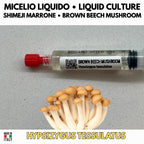 Brown Beech Mushroom Liquid Culture Hypsizygus Tessellatus Live Mycelium Syringe 10ml Shimeji Mushroom Culture Lab Grade Mycology Supplies