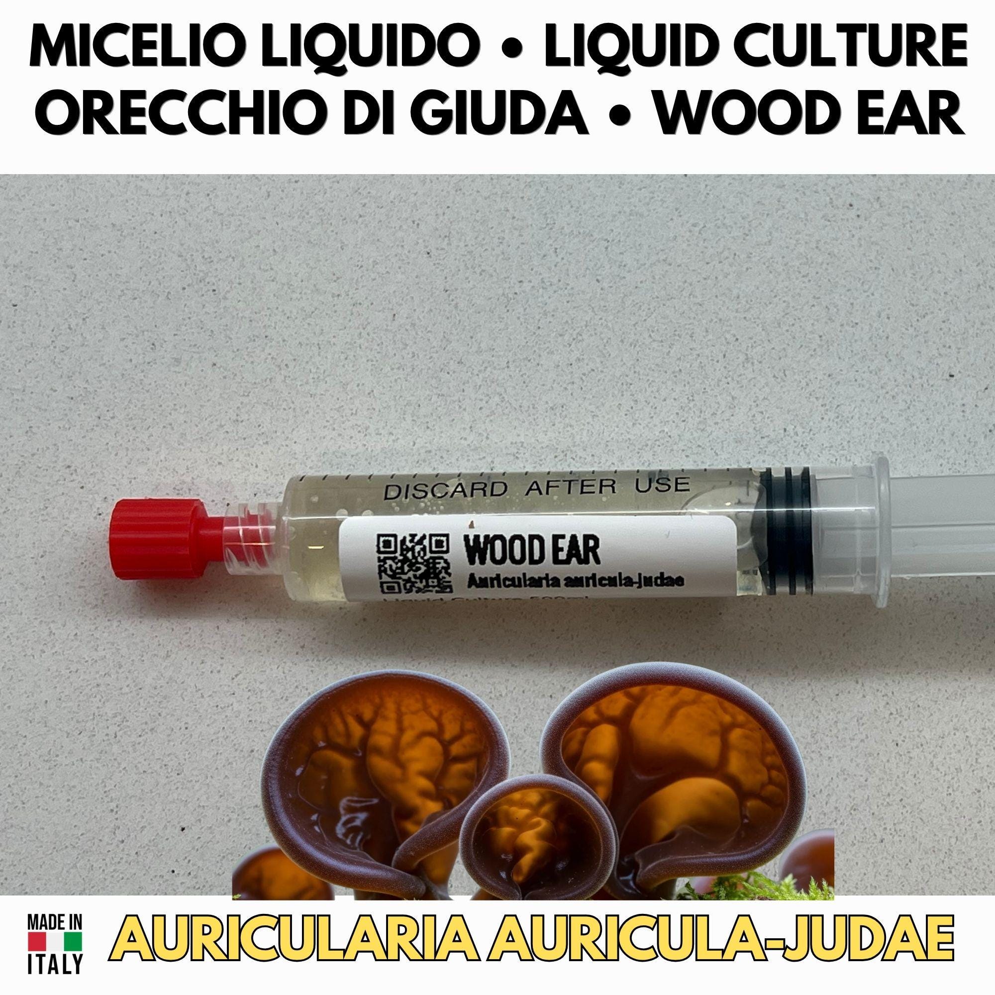 Orecchio di Giuda Coltura Liquida 10ml Micelio Vivo Auricularia