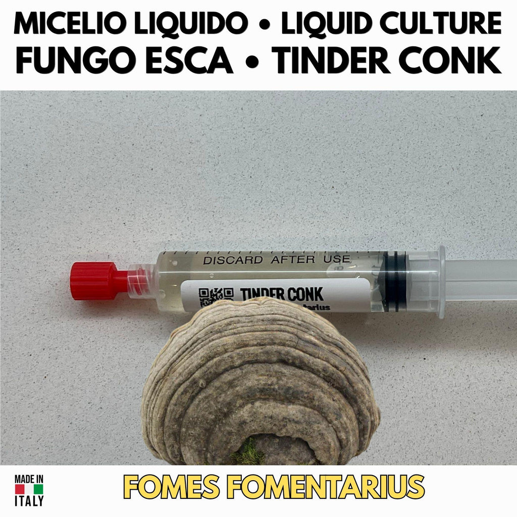 Fomes Fomentarius Coltura Liquida 10ml Micelio Vivo Fungo Esca