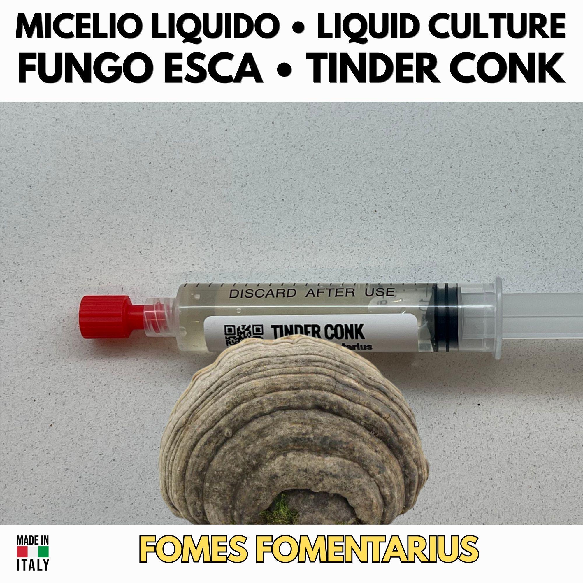 Fomes Fomentarius Liquid Culture 10ml Live Mycelium Tinder Conk Amadou Mushroom Syringe Lab Grade Mycology Italy