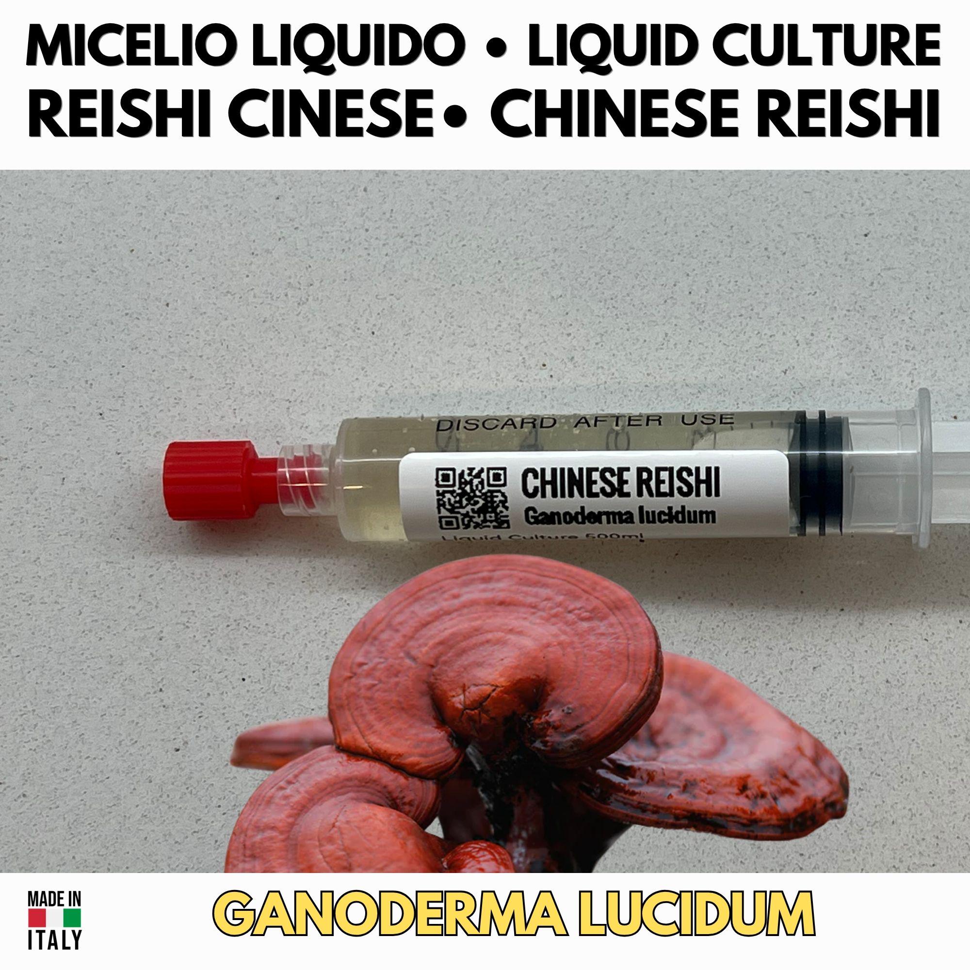Reishi Cinese Coltura Liquida Ganoderma Lucidum Micelio 10ml