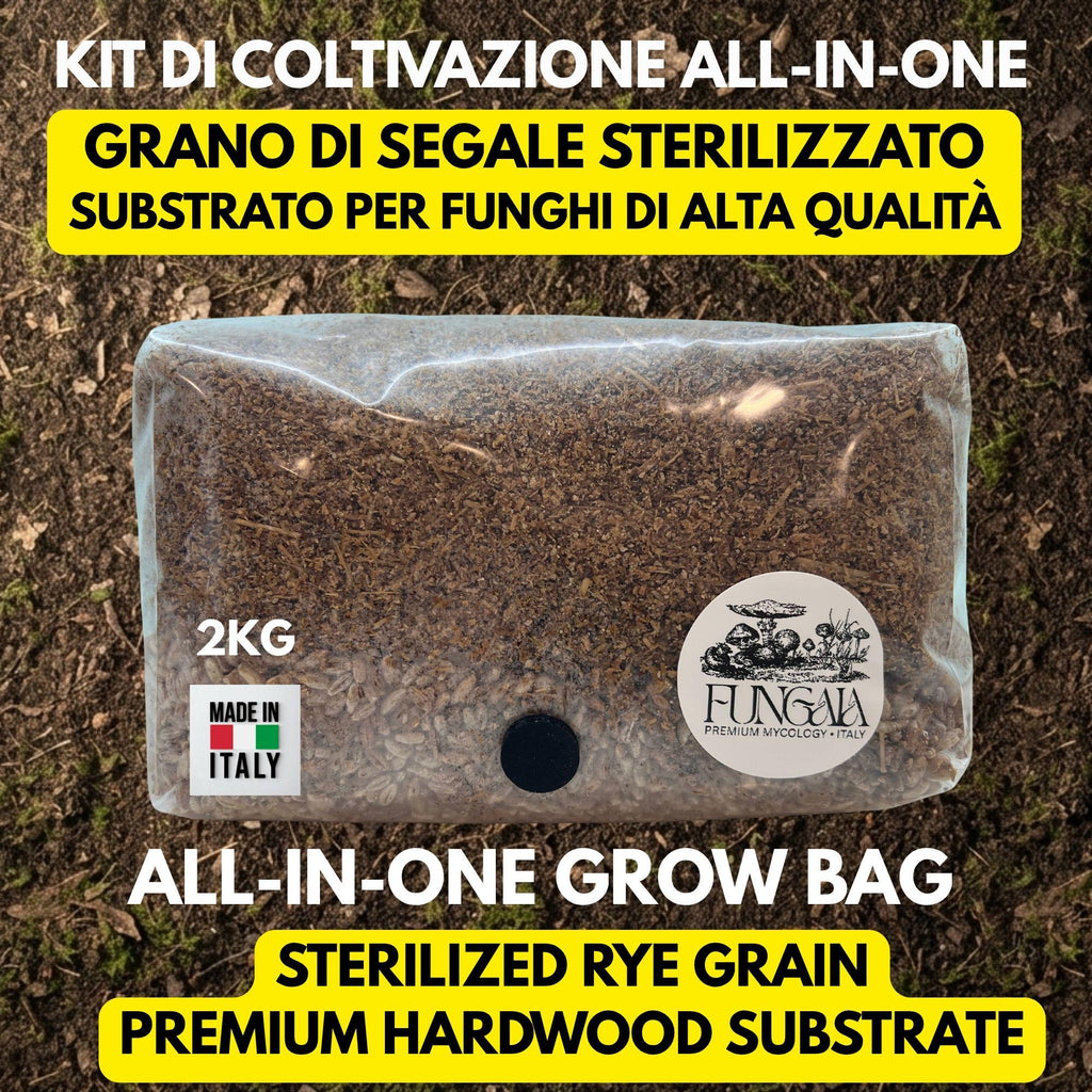 Mushroom Grow Bag 2kg Sterilized Rye + Beech Substrate | Injection Port | Oyster Shiitake Lion's Mane