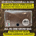 Mushroom Grow Bag 2kg Sterilized Rye + Beech Substrate | Injection Port | Oyster Shiitake Lion's Mane