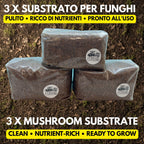 Premium Mushroom Substrate 3-Pack | 6kg (13.2lb) Total | Sterilized Hardwood Blend | Made in Italy