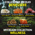 Kit Coltura Funghi Wellness Tradizionali. Wellness Pack 5 Colture Liquide. Lion's Mane | Reishi | Cordyceps | Turkey Tail