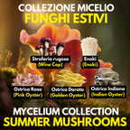 Summer Mushroom Liquid Culture Bundle – 5 LC. Pink Oyster  | Golden Oyster  | Wine Cap  | Enoki. Warm Weather Mushroom Growing Kit