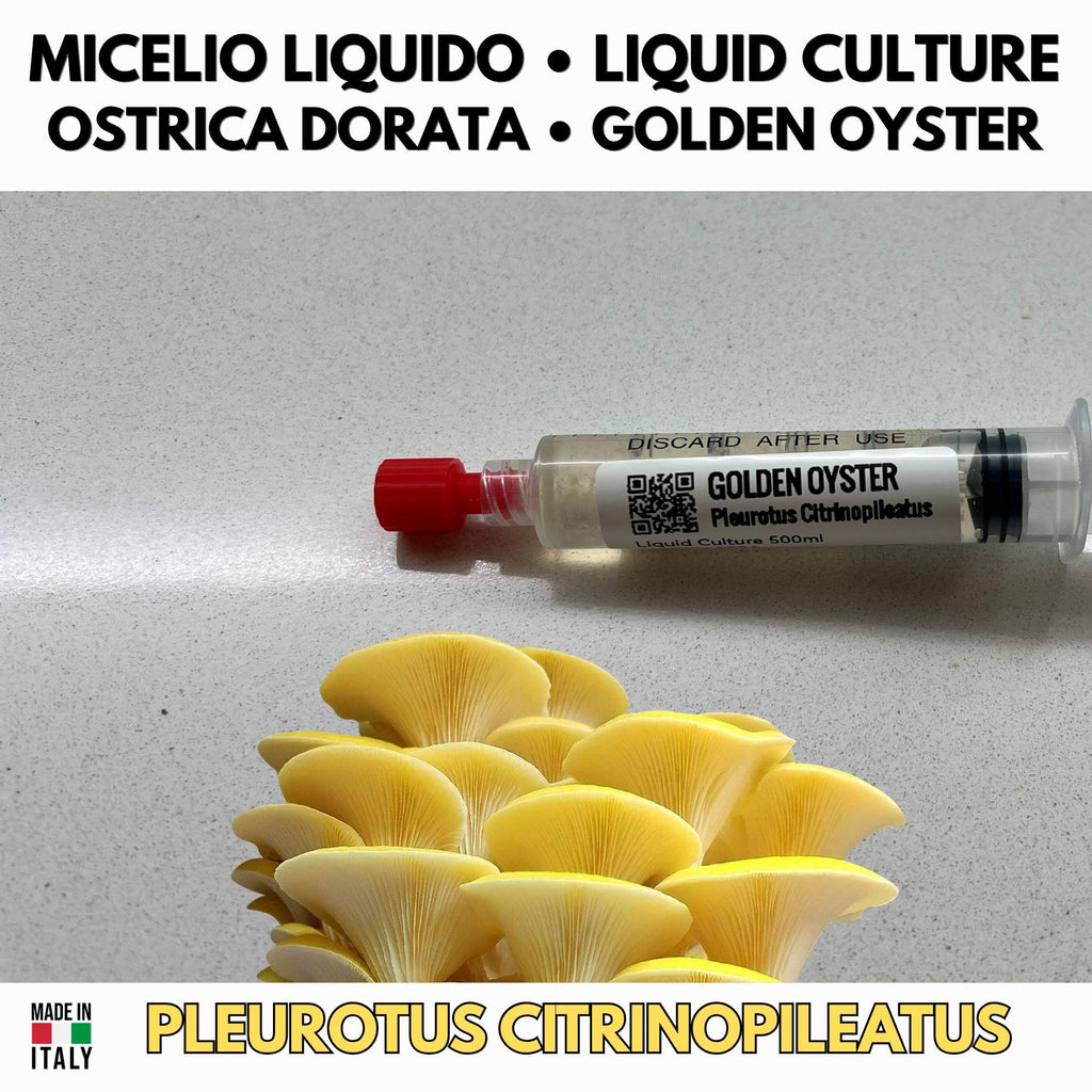 Summer Mushroom Liquid Culture Bundle – 5 LC. Pink Oyster  | Golden Oyster  | Wine Cap  | Enoki. Warm Weather Mushroom Growing Kit