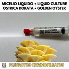 Summer Mushroom Liquid Culture Bundle – 5 LC. Pink Oyster  | Golden Oyster  | Wine Cap  | Enoki. Warm Weather Mushroom Growing Kit