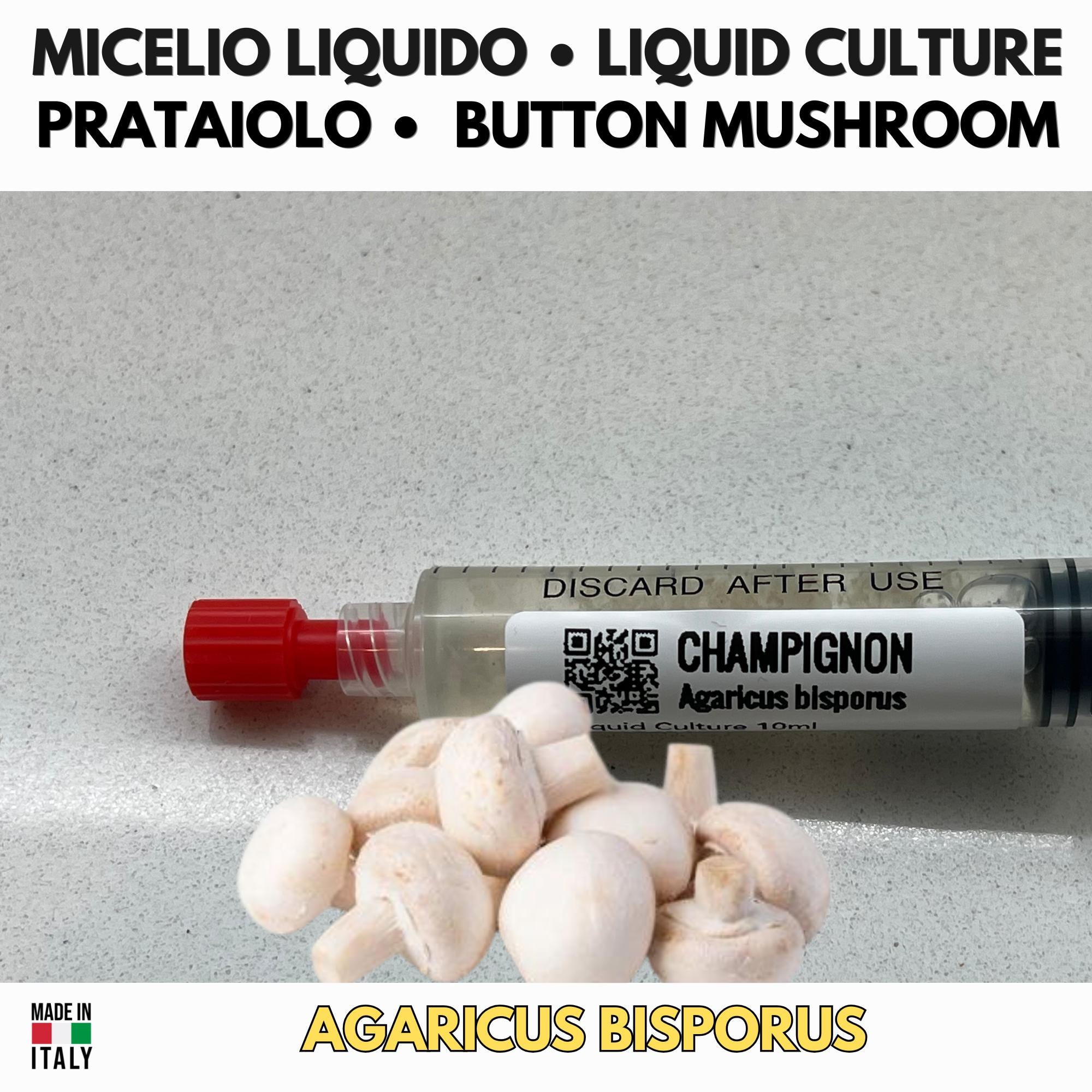 CVG Growers Collection – 3 Colture Liquide | Prataiolo Coprino Fungo Mandorla | Kit Coltivazione Substrato Naturale