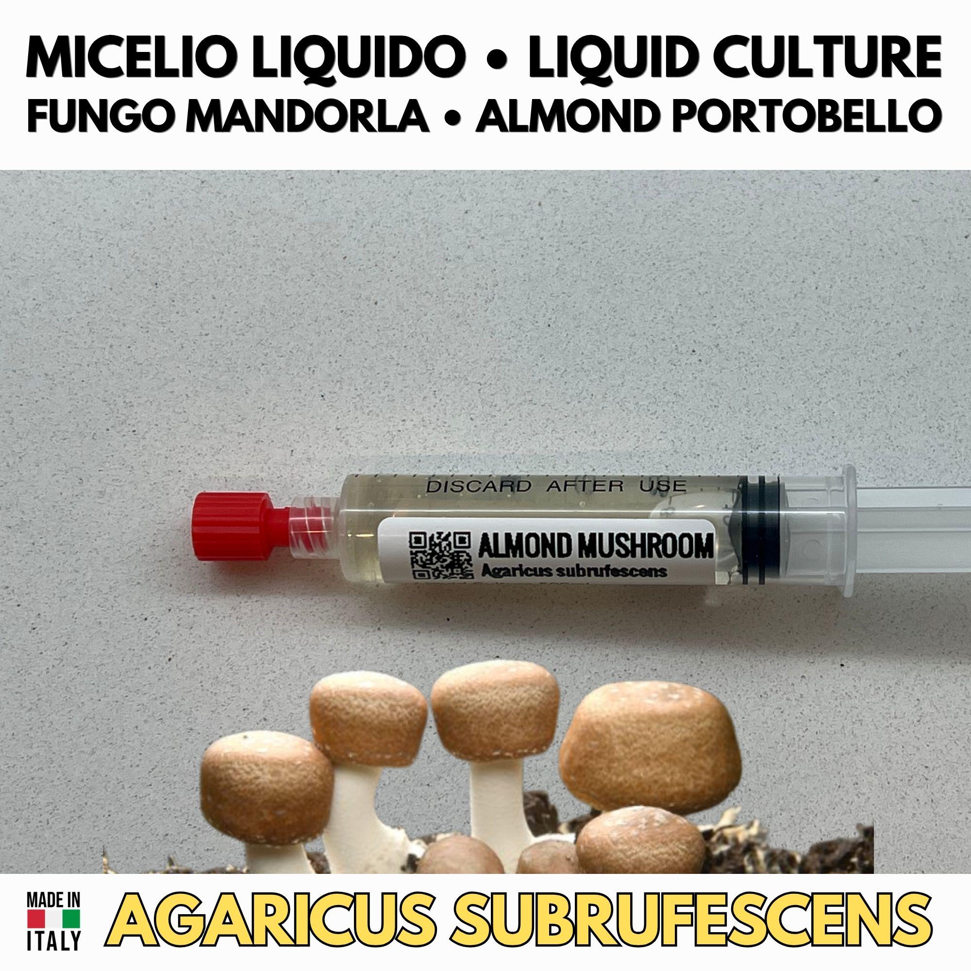 CVG Growers Collection – 3 Colture Liquide | Prataiolo Coprino Fungo Mandorla | Kit Coltivazione Substrato Naturale