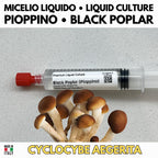 Italian Cuisine Collection – 3 Colture Liquide | Champignon Pioppino Cardoncello | Bundle Funghi Tradizione Italiana