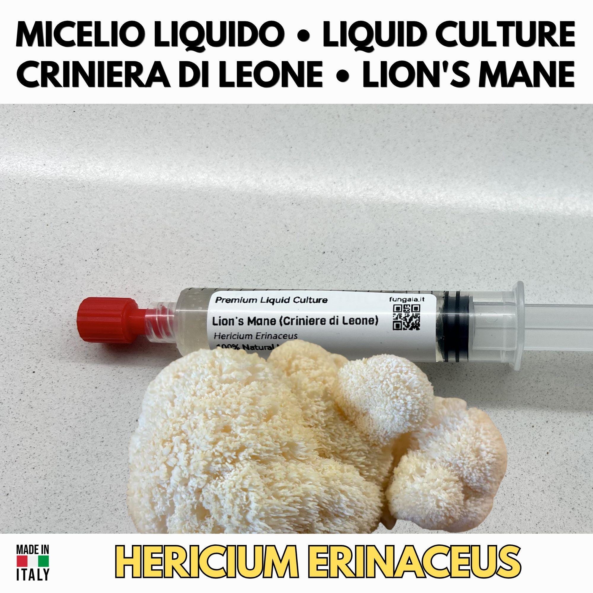Hericium Collection – 3 Liquid Cultures | Lion's Mane Coral Tooth Bear's Head | Complete Hericium Mushroom Growing Bundle