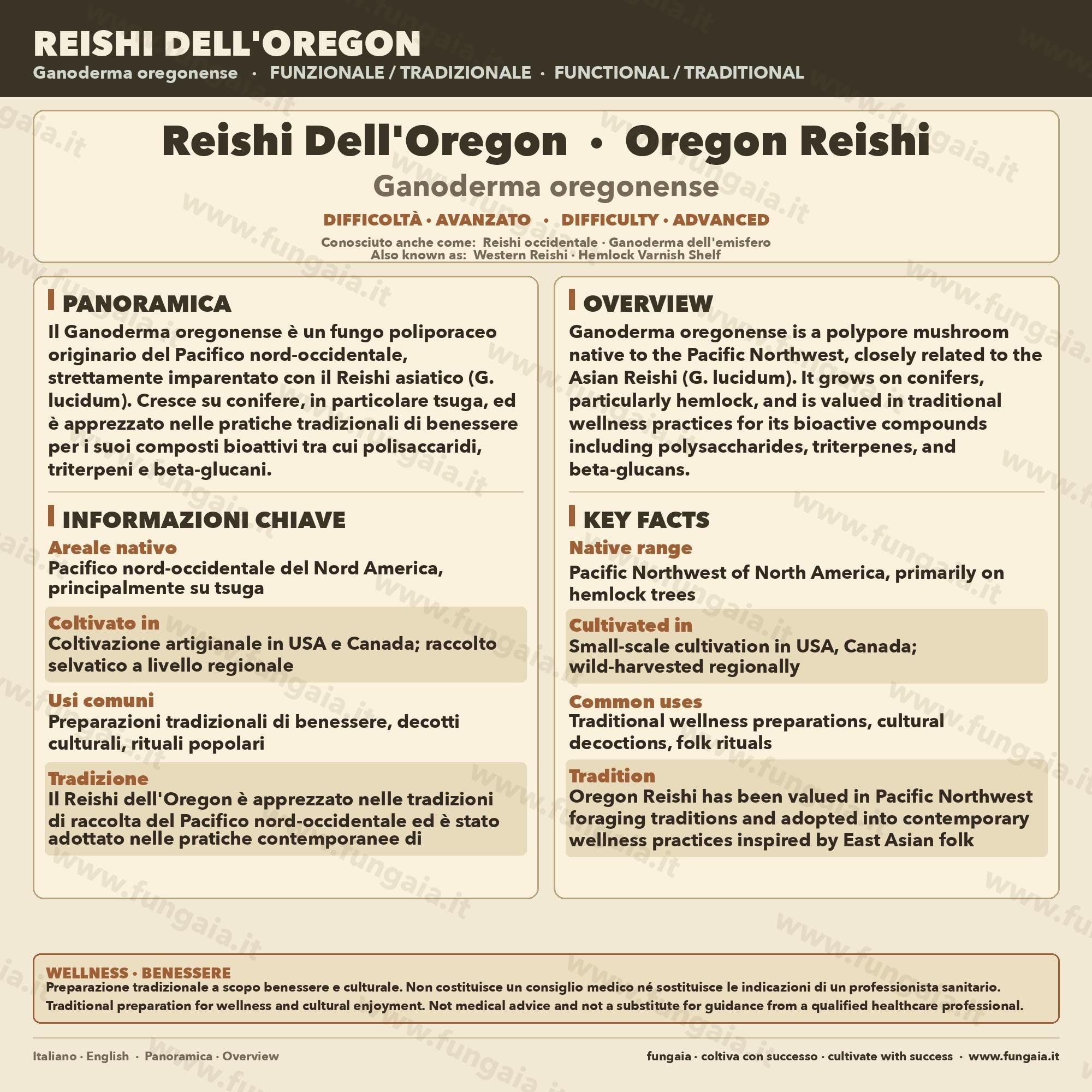 Ganoderma oregonense Oregon Reishi Liquid Culture – Premium Mushroom Culture for Gourmet Cultivation