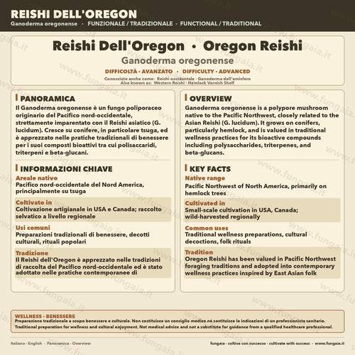 Ganoderma oregonense Oregon Reishi Liquid Culture – Premium Mushroom Culture for Gourmet Cultivation