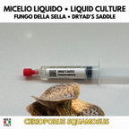 Cerioporus squamosus Coltura Liquida | Poliporo Scaglie Gourmet