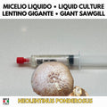 Neolentinus ponderosus Giant Sawgill Liquid Culture | Rare Gourmet Mushroom Mycelium for Cultivation