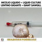 Neolentinus ponderosus Giant Sawgill Liquid Culture | Rare Gourmet Mushroom Mycelium for Cultivation
