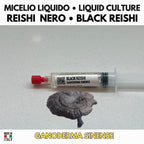 Ganoderma sinense Black Reishi Liquid Culture • Rare Chinese Reishi Mycelium for Gourmet Cultivation