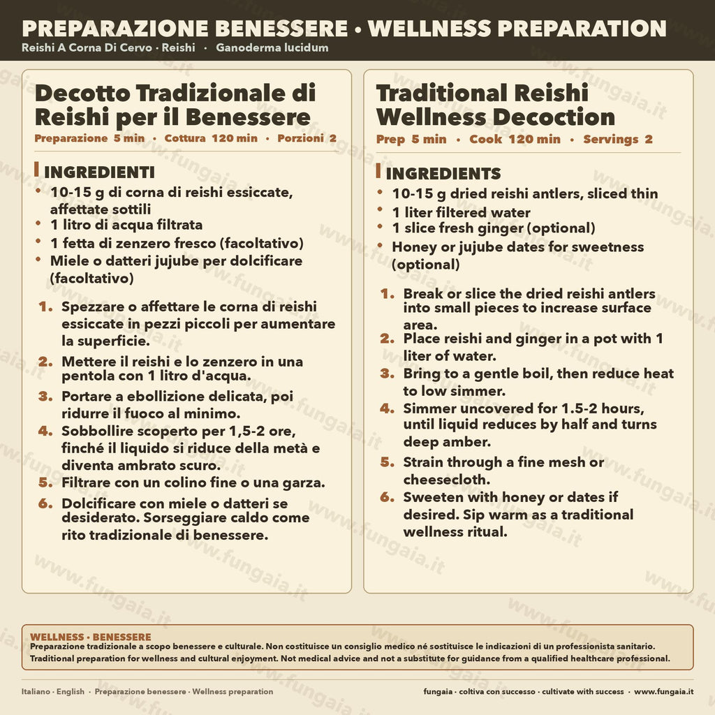 Coltura Liquida Reishi Lucido | Ganoderma resinaceum | Micelio