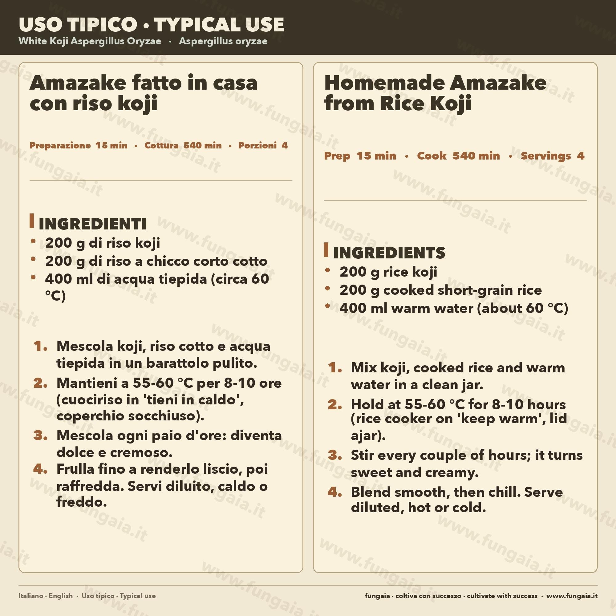 Koji Bianco Aspergillus oryzae Slant Agar | Coltura Premium