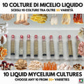 10 Liquid Culture Bundle | Gourmet Mushroom Cultures | 50+ Varieties Available | Premium Mycelium