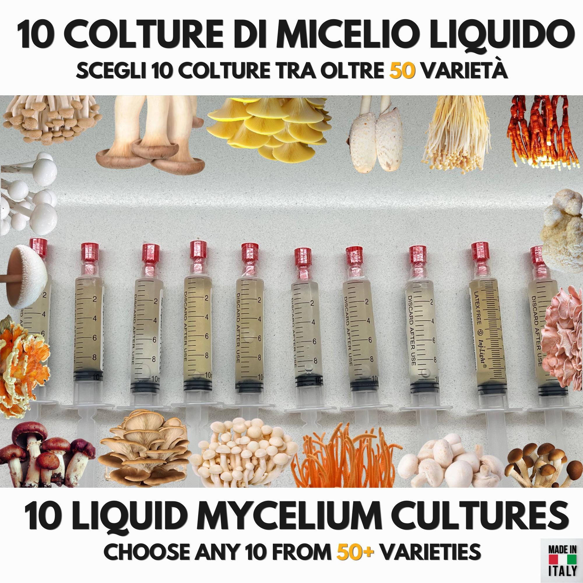 10 Liquid Culture Bundle | Gourmet Mushroom Cultures | 50+ Varieties Available | Premium Mycelium