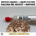 Maitake 10ml Live Mycelium Liquid Culture Selected Lab Grade Genetics Grifola Frondosa Gourmet Mushroom Inoculum Professional Kit