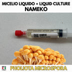 Nameko Coltura Liquida 10ml Pholiota Microspora Micelio Vivo