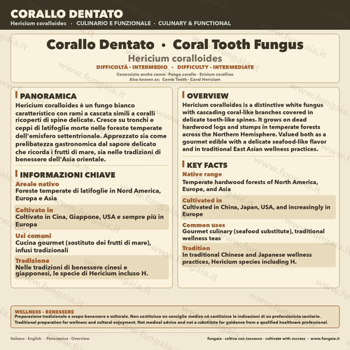 Coral Tooth Liquid Culture Hericium Coralloides Live Mycelium Syringe 10ml Comb Tooth Mushroom Culture Lab Grade Mycology Supplies