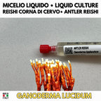 Cultura Liquida Antler Reishi 10ml - Ganoderma lucidum Made in Italy