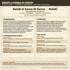 Reishi Cinese Coltura Liquida Ganoderma Lucidum Micelio 10ml