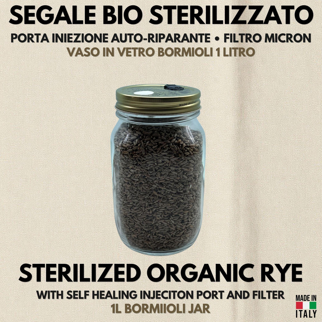 Spawn Segale Bio 500g Bormioli 1L Porta Iniezione Filtro PTFE Sterile