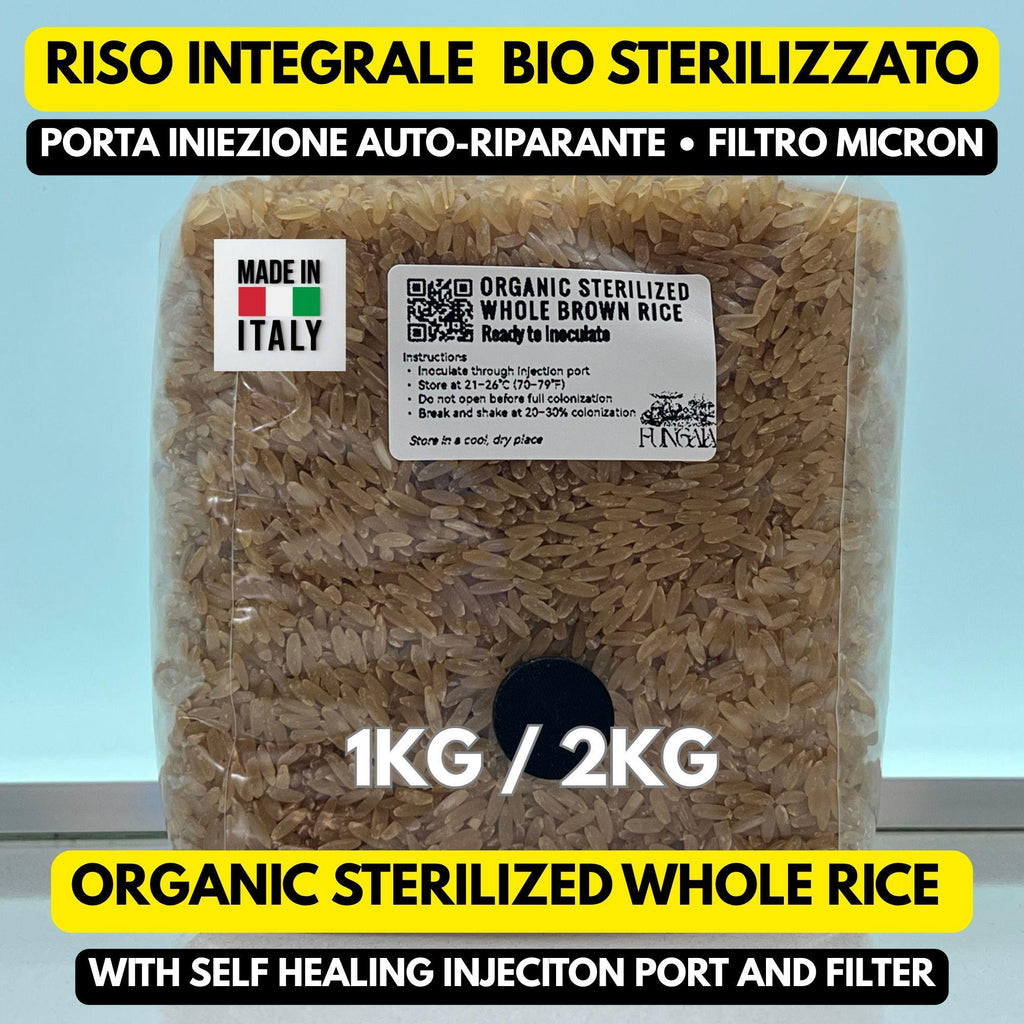 Organic Brown Rice 1kg/2kg Grain Spawn Autoclave • SHIP Port • Mushroom Substrate Oyster Shiitake Reishi