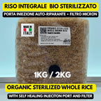 Organic Brown Rice 1kg/2kg Grain Spawn Autoclave • SHIP Port • Mushroom Substrate Oyster Shiitake Reishi