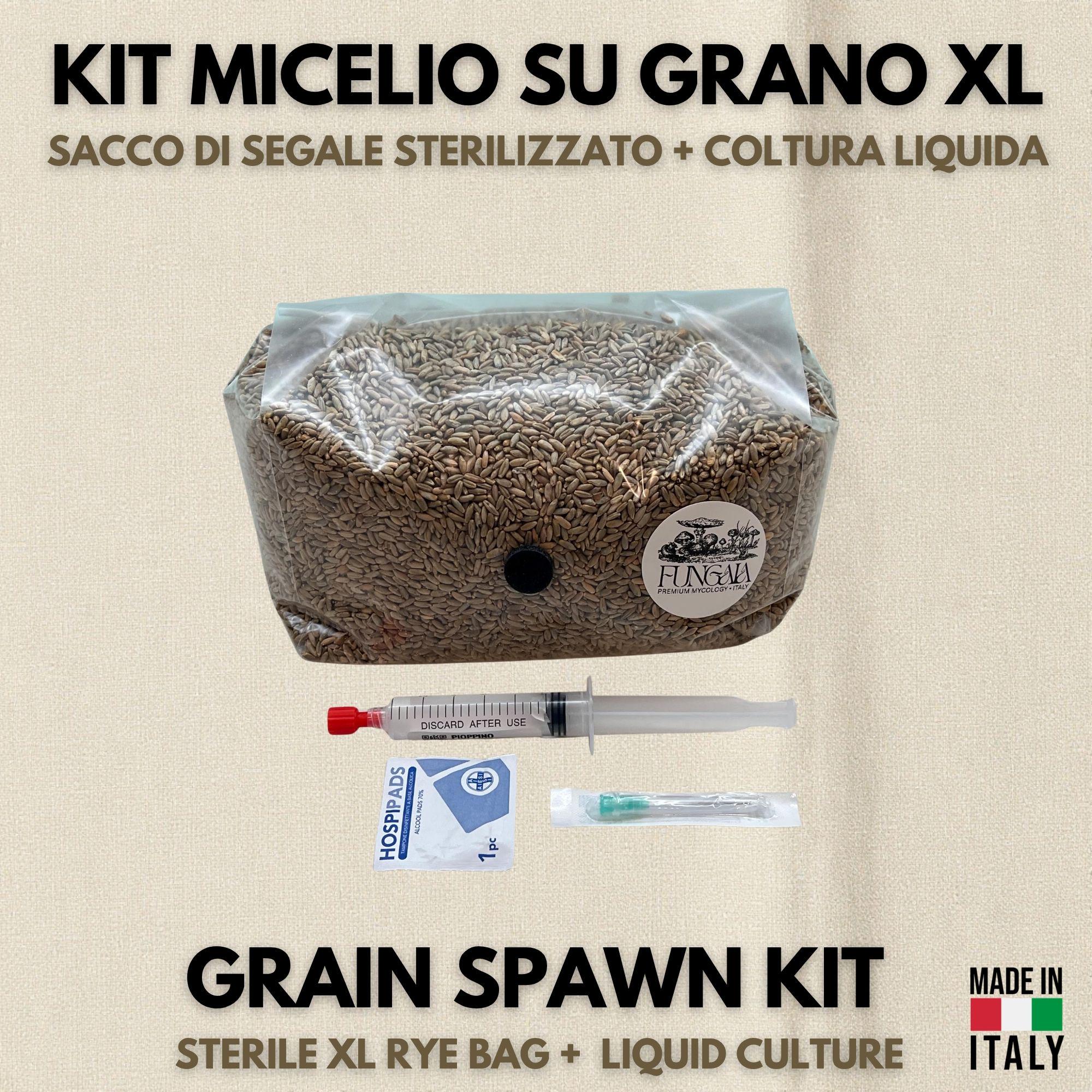 Kit Spawn Funghi Premium - Sacca XL Segale Bio con Coltura Liquida