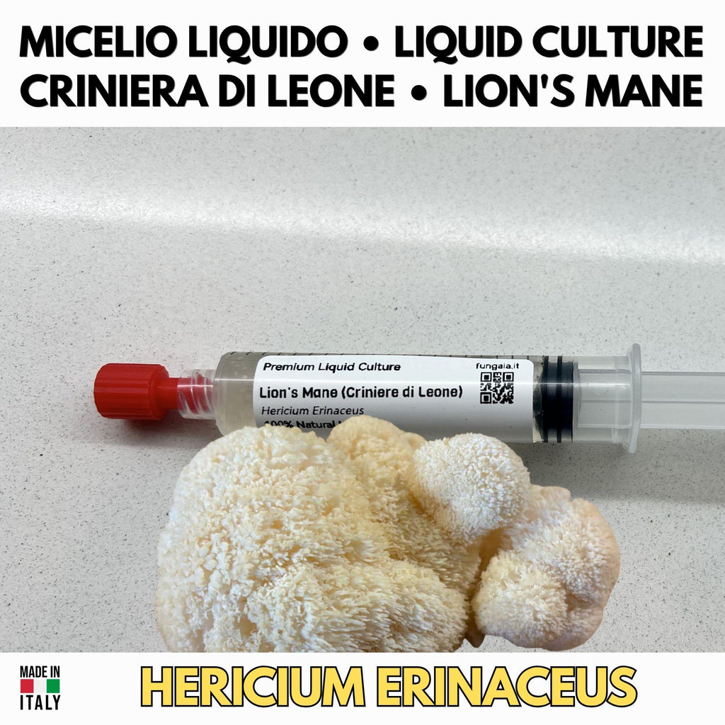 Kit Coltura Funghi Wellness Tradizionali. Wellness Pack 5 Colture Liquide. Lion's Mane | Reishi | Cordyceps | Turkey Tail
